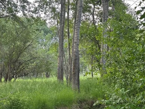 Spring Creek Dr, Bozeman, MT 59715