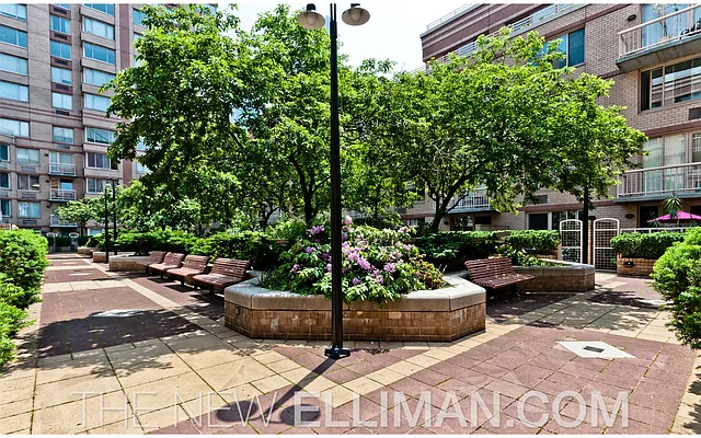 Rented by Douglas Elliman | media 17