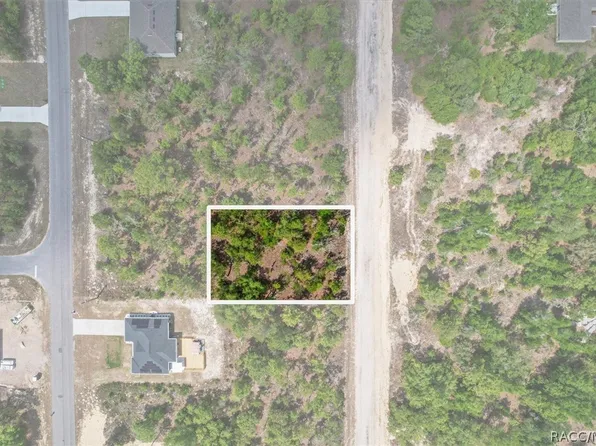 1526 W Pendleton St, Citrus Springs, FL 34434