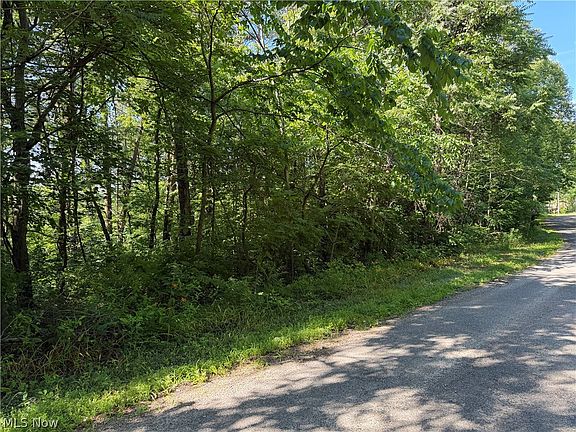 3rd image of 0 Fisher Ridge Rd Tract 6
