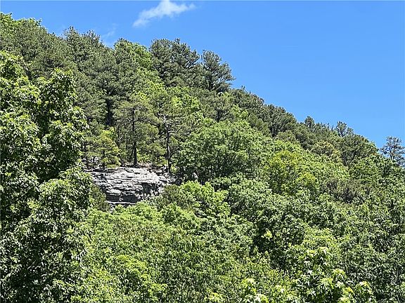 4th image of Terrapin Rd