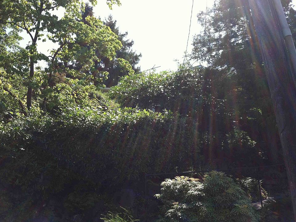 1st image of 4158 42nd Ave NE