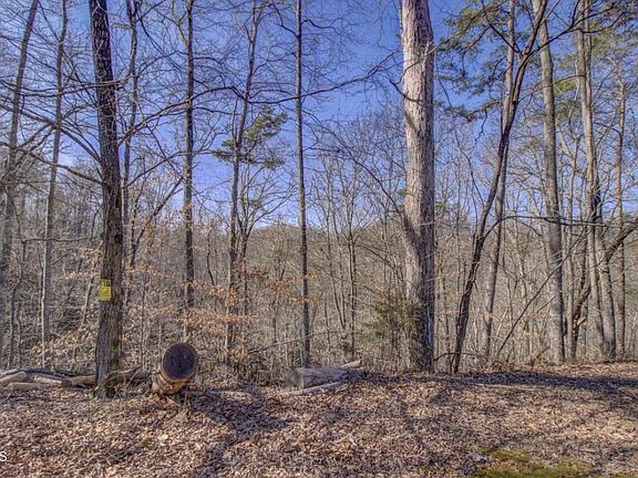 4th image of 4585 Crooked Creek Way