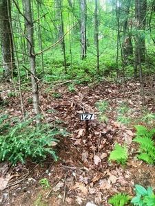 127 Birdnest Rd, Cashiers, NC, 28774
