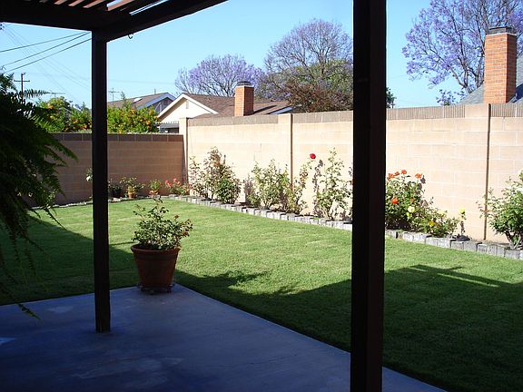 Back Yard/Rose Garden