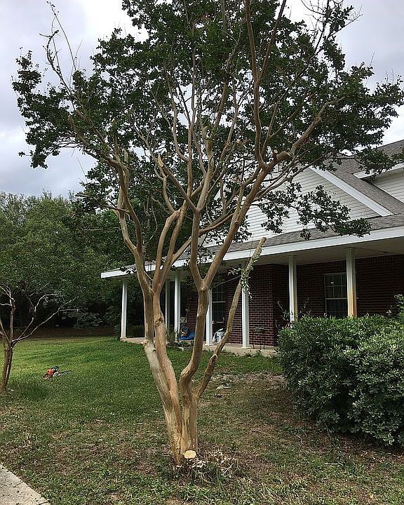2nd image of 4588 Sea Vista Ct