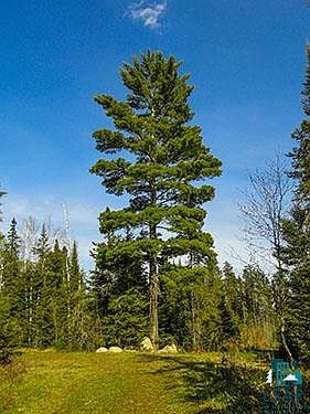 3rd image of TBD Johnson Creek Dr