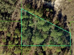 15241 Barron Ct LOT 16, Brooksville, FL 34614