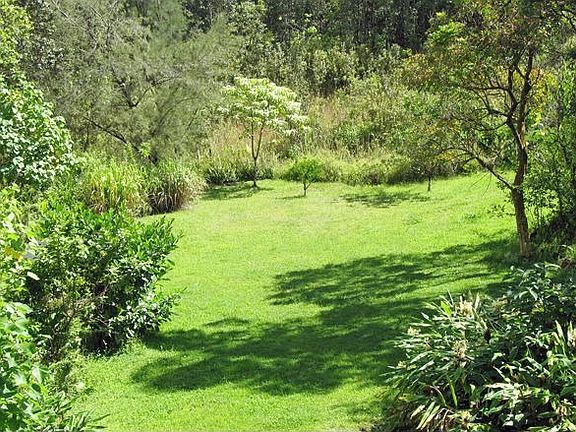 expansive backyard