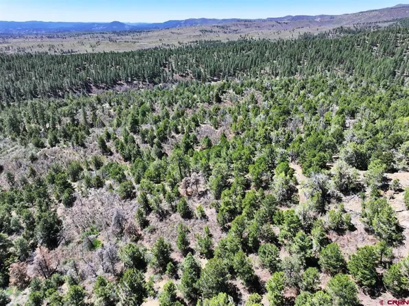 TBD County Road 213, Durango, CO 81303