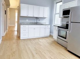 208 N Kolin Ave, Chicago, IL