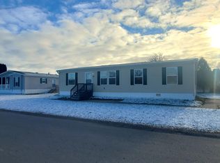 360 E Tuttle Rd #40, Ionia, MI 48846