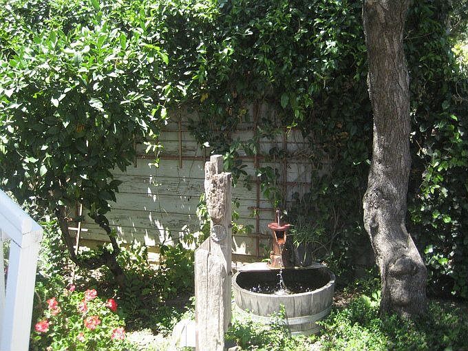 Back Yard Water Feature