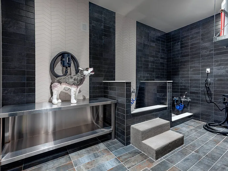 Pet Spa