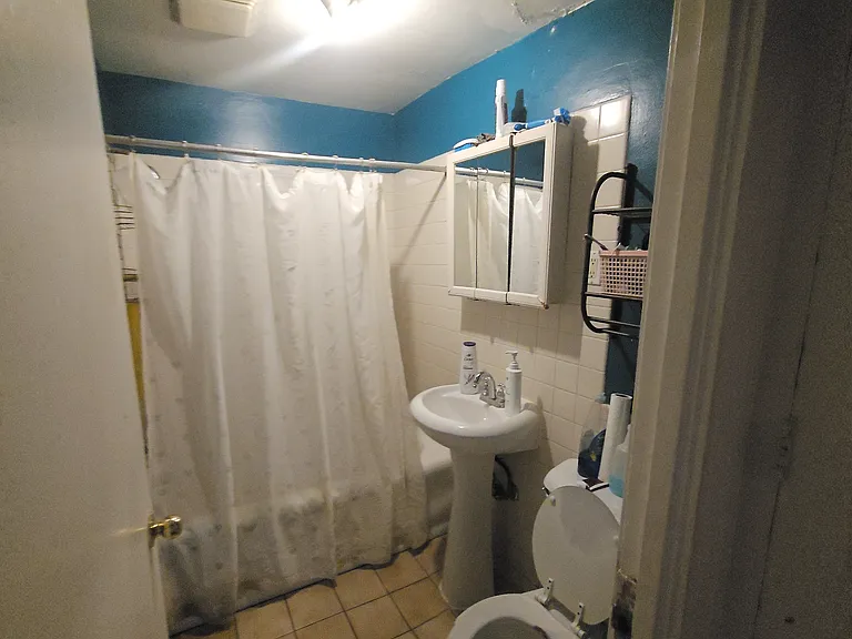 6456 N Hoyne Ave #2 — Photo 8