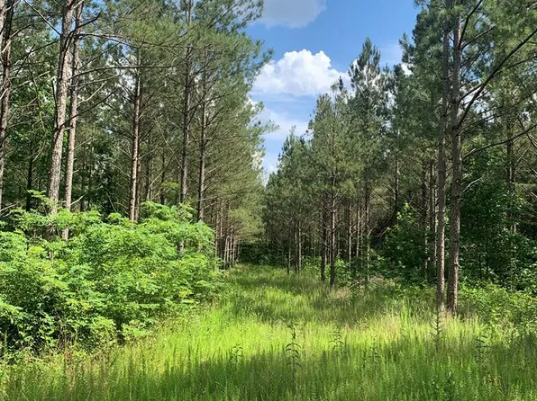 (undisclosed Address), Chatsworth, GA 30705