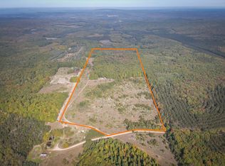 5632 Walking Path Pl, Harrietta, MI 49638