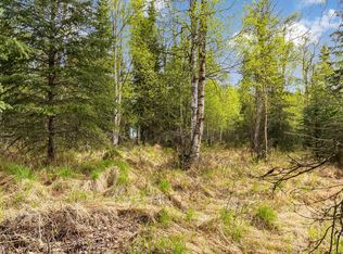 655 N Eckert St, Palmer, AK 99645