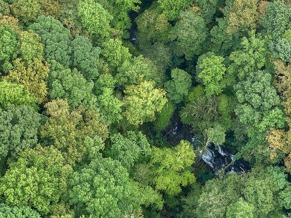 4th image of 232 Andes Rdg #4.66