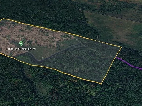 Vl 80 Acres Klender Rd, Bentley, MI 48613