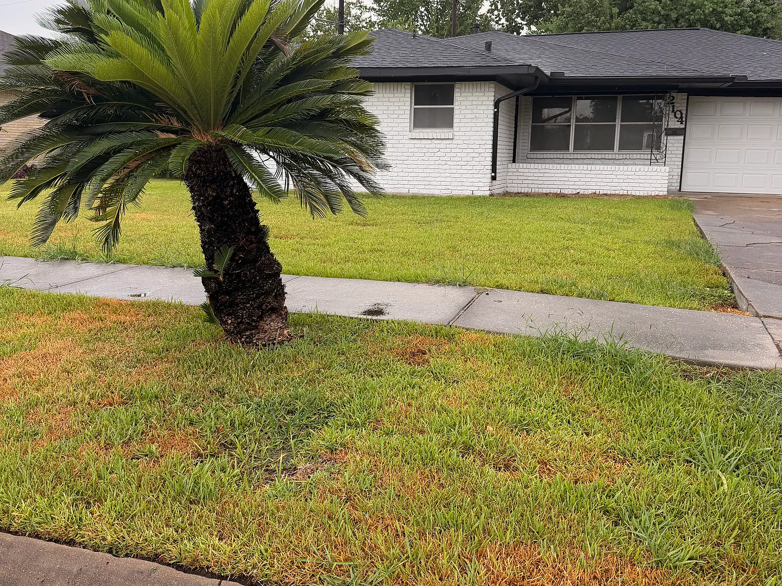 3 bed, 1566 sqft, $1,850 — Photo 1