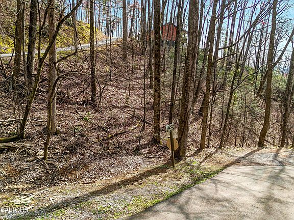 4th image of LOT-194A Ski View Ln