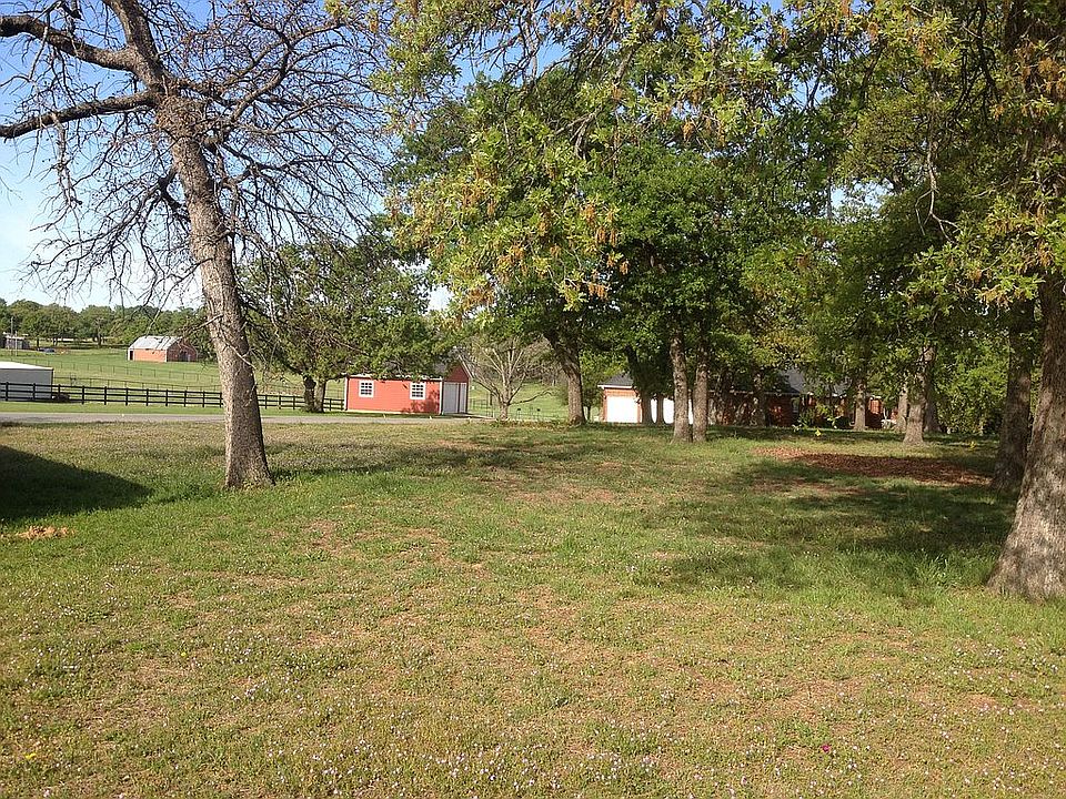 back yard view