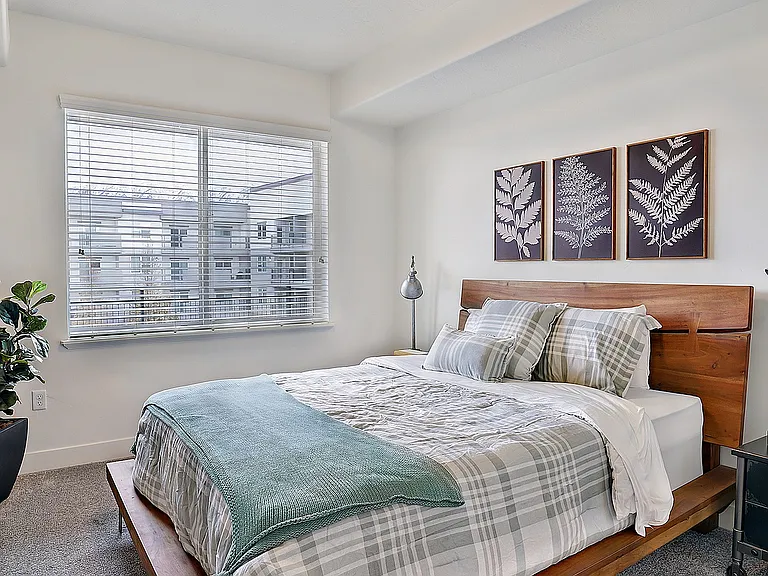 Spacious primary bedroom with natural light and neutral finishes.