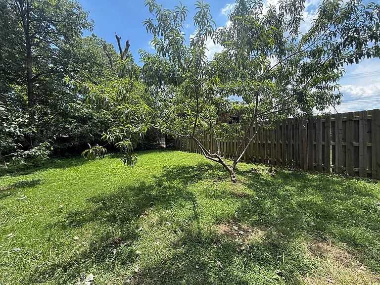 1007 Fowler St — Photo 32