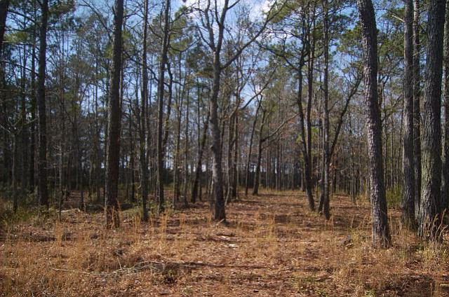 1st image of 0 River Road