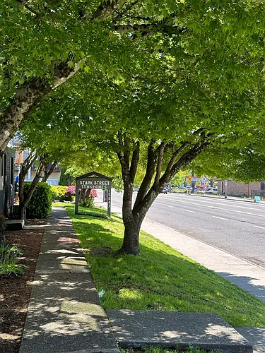 Stark Street Townhomes Photo 1