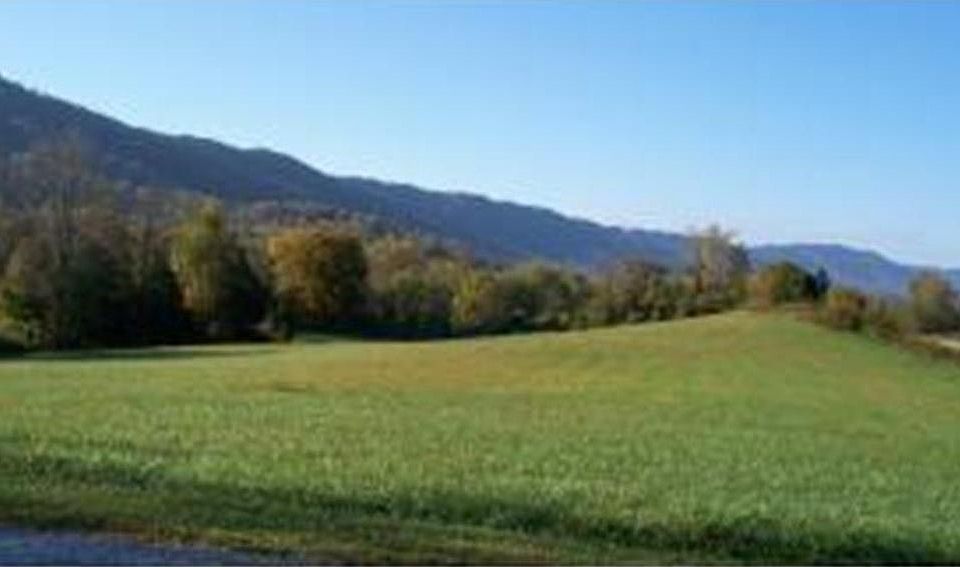 1st image of Tbd Skeens Dr