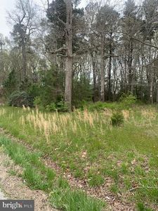 Federalsburg Hwy, Federalsburg, MD, 21632