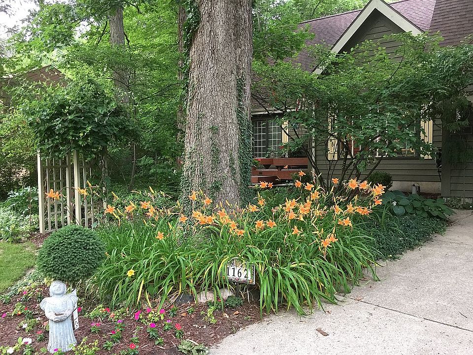 1st image of 1162 Teakwood Cir