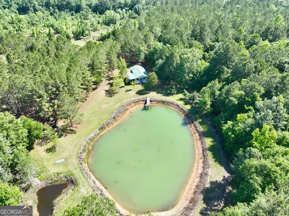 769 Mount Olive Church Rd, Eastman, GA 31023