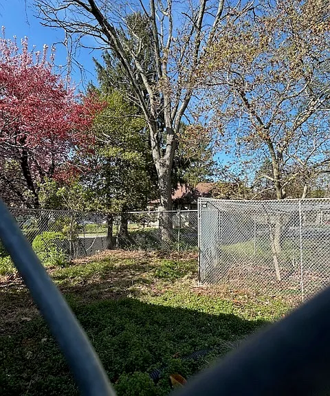 Margin Ave — Photo 8