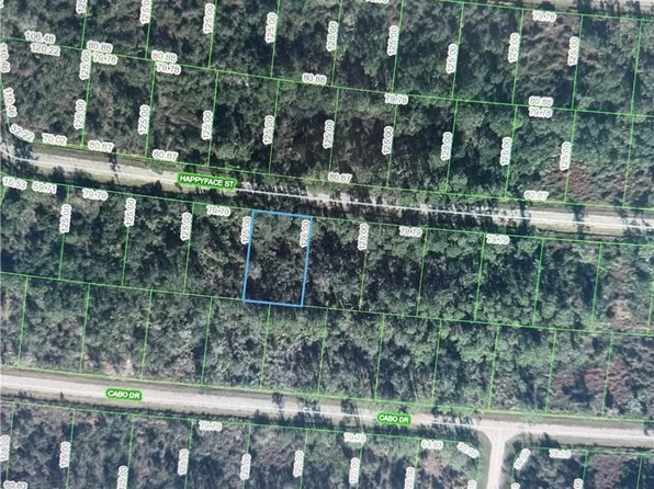 7381 Happyface St, Sebring, FL 33872