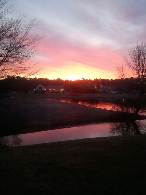 Beautiful view from patio 
