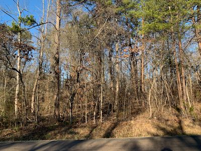 210 Daleyuhski Ln Lot 6, Loudon, TN, 37774