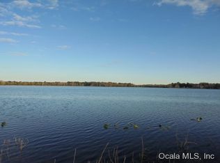 16955 SE 27th Place Rd, Ocklawaha, FL 32179