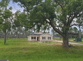 22361 Salem Church Rd, Metter, GA 30439