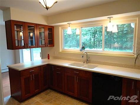3rd image of 11618 Rickman Dr