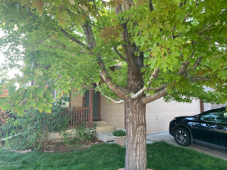 2nd image of 10293 Rotherwood Cir #1