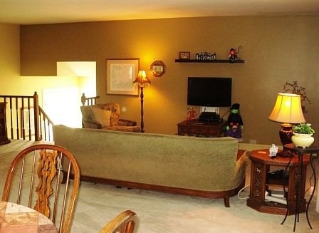 Main Level Living Room