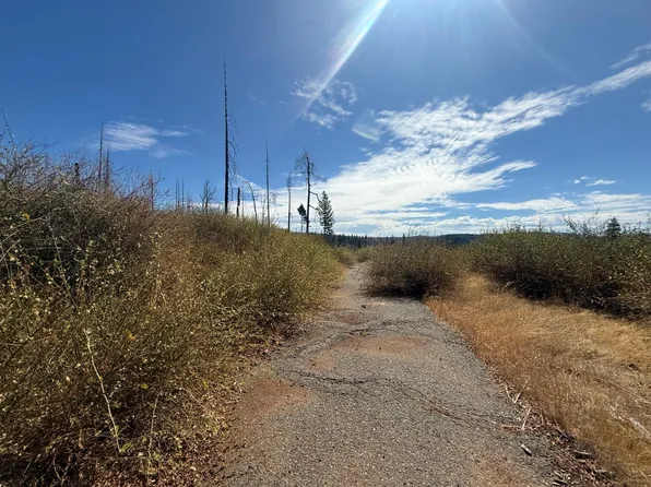 7329 Southview Dr, Grizzly Flats, CA 95636