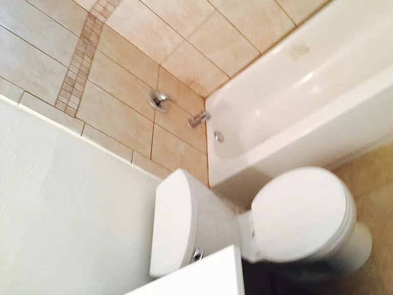 2509 McIntosh Rd — Photo 4
