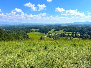 0 Don Felmet Rd, Leicester, NC 28748