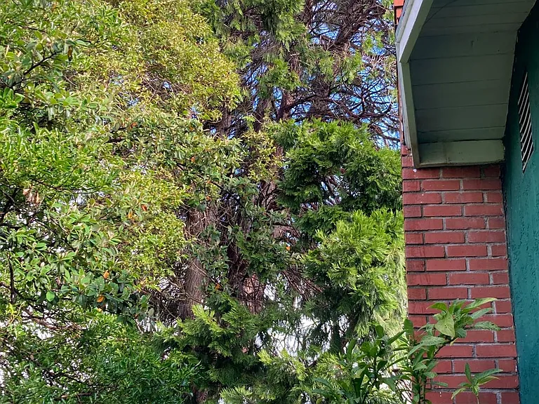 3316 Hillcrest Rd — Photo 21