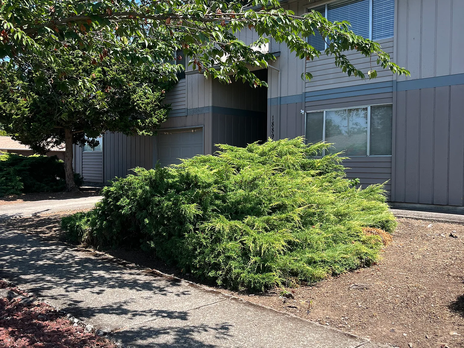 2 bed, 900 sqft, $1,495 — Photo 3