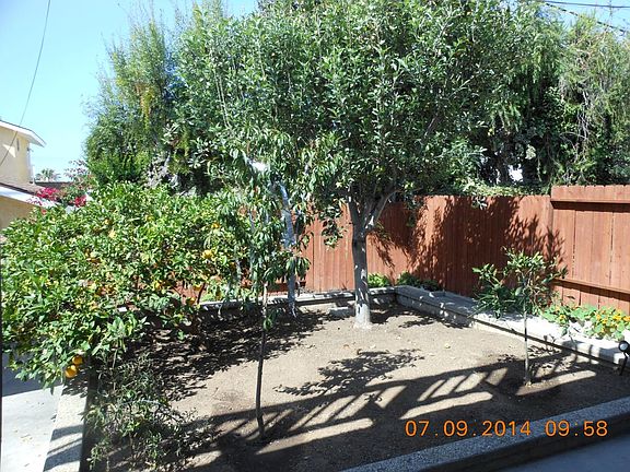 Fruit trees in common backyard Area